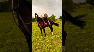 Cutebaby and Horse 🐎  horse horses ghoda horseriding horselover ytvideo shortsfeed dhruhi [upl. by Mcquillin]