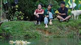 Eagerly waiting for the new house Sua and Ha harvest oranges and buy duck seeds [upl. by Aia691]