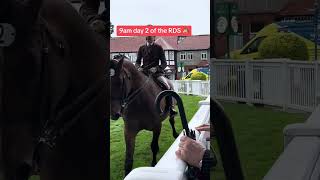 9am day 2 of the RDS Dublin horse show 📚🐴👍❤️ [upl. by Allbee]