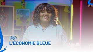 QUID  L’ÉCONOMIE BLEUE  Metamorphosis Africa [upl. by Cori]