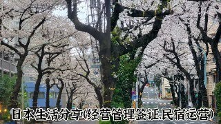 日本4月樱花季 新一年度（学年、工作、事业）的开始 日本旅游签证手续简化 日本日本生活直播分享 [upl. by Buell415]