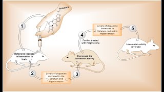 How to make a graphical abstract using ChemDraw   Graphical abstract of Research [upl. by Nelav]