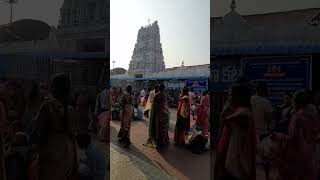 Vemulawada shiva templevinuvloggervinuvlogs [upl. by Anaihs]