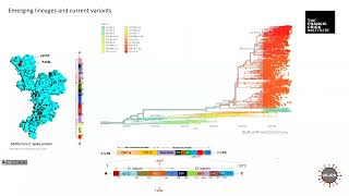 Giulia Dowgier  Divergent performance of bivalent BA5 and monovalent XBB15 COVID19 vaccines [upl. by Cordi721]