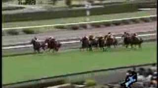 2007 関西ＴＶローズＳ Rose Stakes [upl. by Aible38]