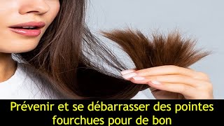 Comment Reparer Cheveux Fourchus Et Pointes Abimees  Astuces Pour Cheveux Fourchus soincheveux [upl. by Yrotciv545]