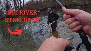 Steelhead Alley  BIG fish landed [upl. by Ezaria]