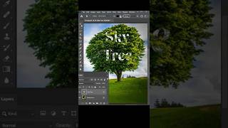 How to Blending Text to Tree Background in Photoshop 2024 [upl. by Corette]