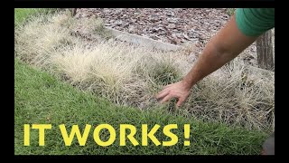 DIY Weed Killer that is SAFE and EFFECTIVE [upl. by Siol52]