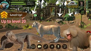 Level20 Tiger and Lion game play21  lionattack lionhunting tiger games wildcraft lion [upl. by Ruford435]