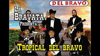 Entrevista Tropical del Bravo [upl. by Anez286]