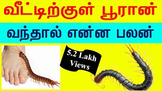 பூரான் வீட்டுக்குள் வந்தால் என்ன பலன்Pooran veetukul vanthal enna palanIndian Astrology Prediction [upl. by Arama]