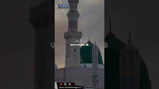 Ilham hai namaste Tera Mohammed Fazal naat beautifulnaat islamicstatus shorts shortsvideo [upl. by Lyford]