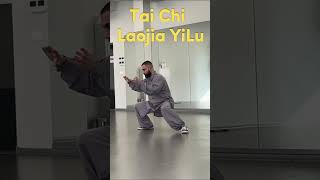 Tai Chi Laojia YiLu Perfecting a Single Movement from the Flow health martialarts taichi kungfu [upl. by Akerehs]