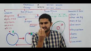 Ch 3 Lec1 Enzyme Introduction Fsc Part1 Ch3 UrduHindi lecture MDCAT NEET NCERT Pre By M Bilal [upl. by Eseenaj]