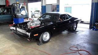 1600HP Dodge Challenger Dyno Run Australia [upl. by Persse]