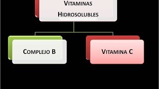 Vitaminas hidrosolubles Vitamina C o Ácido ascórbico [upl. by Nnaarat]