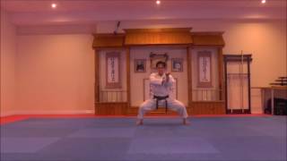 Tekki Sandan kata by SKIF Sensei Katsu TJShuhari Shotokan Karate Association [upl. by Ahseet]