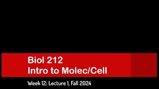 CSULB Biol 212 Fall 2024  Week 12 Lecture 1 [upl. by Siulegroj16]