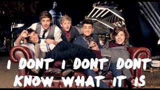 One Thing  One Direction Karaoke Duet Sing With 1D [upl. by Moule]