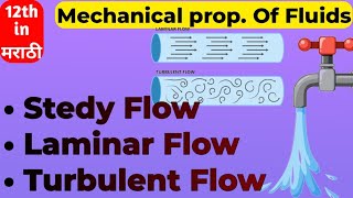 Streamline and Turbulent Flow Concept 12th physics [upl. by Harewood640]