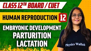 Human Reproduction 12  Embryonic Development Parturition Lactation  Class 12thCUET [upl. by Alidus]