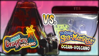 Aqua Dragons Volcano vs SeaMonkeys Ocean Volcano Days 130 [upl. by Kcoj]