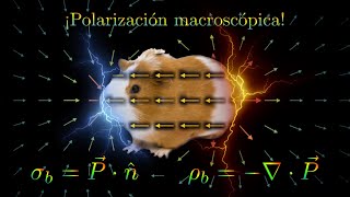 Electro 16 Cómo calcular el campo de un material polarizado [upl. by Ojaras736]