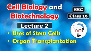 Cell Biology and Biotechnology Lecture 2  Class 10 SSC  Uses of stem cells Organ transplantation [upl. by Ibrahim483]