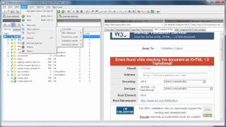 CSS and HTML Validate All Pages in Entire Website Explained [upl. by Nylssej]