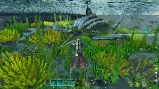 ARK Survival Ascended Taming a Archelon 😎 [upl. by Pelage]