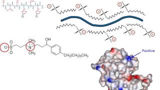 Sample fractionation [upl. by Hasile39]