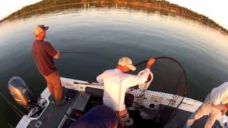 Fishing for MONSTER Muskies in Bemidji Minnesota [upl. by Ailel]