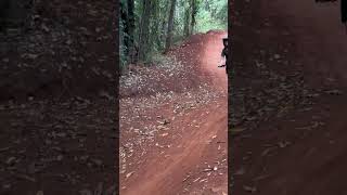 Cairns MTB 🤙🚵🫡 mtb mountainbikeedit mtblife [upl. by Creath]