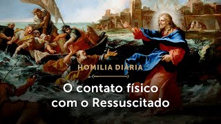 Homilia Diária  Como nos unir ao Cristo Ressuscitado Sextafeira da Oitava de Páscoa [upl. by Ebsen]