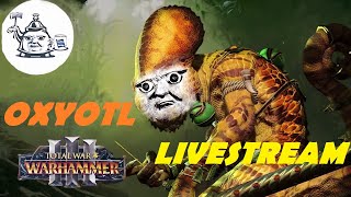 🔴OXYOTL Obliterates with blowguns  Total War Warhammer 3 [upl. by Tenney800]