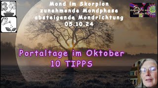 Portaltage im Oktober  10 Tipps wie du damit umgehen kannst [upl. by Eladnar]