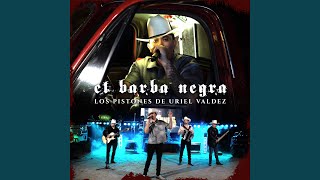 El Barba Negra En Vivo [upl. by Samalla]