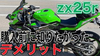 ＺＸ２５Ｒを買って後悔しないために [upl. by Baily]