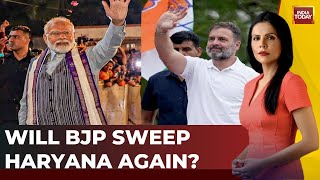 Election Despatch With Preeti Live  Will BJP Sweep Haryana Again  Lok Sabha Election 2024 [upl. by O'Malley656]