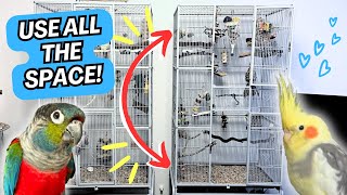 Teach Your Bird to Use the Whole Cage Space from Top to Bottom  BirdNerdSophie AD [upl. by Treboh]