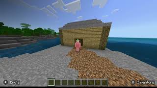 ONE LIFE SMP applications open check desc minecraft smp bedrock onelife fun smplive [upl. by Nylinnej]