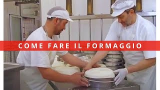 Come si fa il formaggio friulano il mestiere del Casaro latteria sociale Aviano formaggio Montasio [upl. by Mullane]