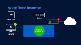 Sophos Firewall v20  Whats New [upl. by Boykins957]