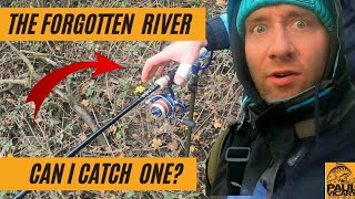 The forgotten river Part 3 Lets go catch one [upl. by Ocisnarf]