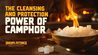 The Cleansing and Protection Power of Camphor [upl. by Hako172]