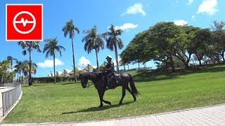 Policjanci z Miami [upl. by Ahsiemat2]