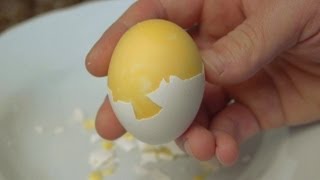 How to Scramble Eggs Inside Their Shell [upl. by Papageno411]