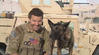 David Boreanaz Talks SEAL Team [upl. by Gnaht]