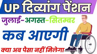 Divyang Pension Kab Aayegi  विकलांग पेंशन कब आएगी  Divyang Pension Ka Paisa Kab Aayega [upl. by Nirehtak]